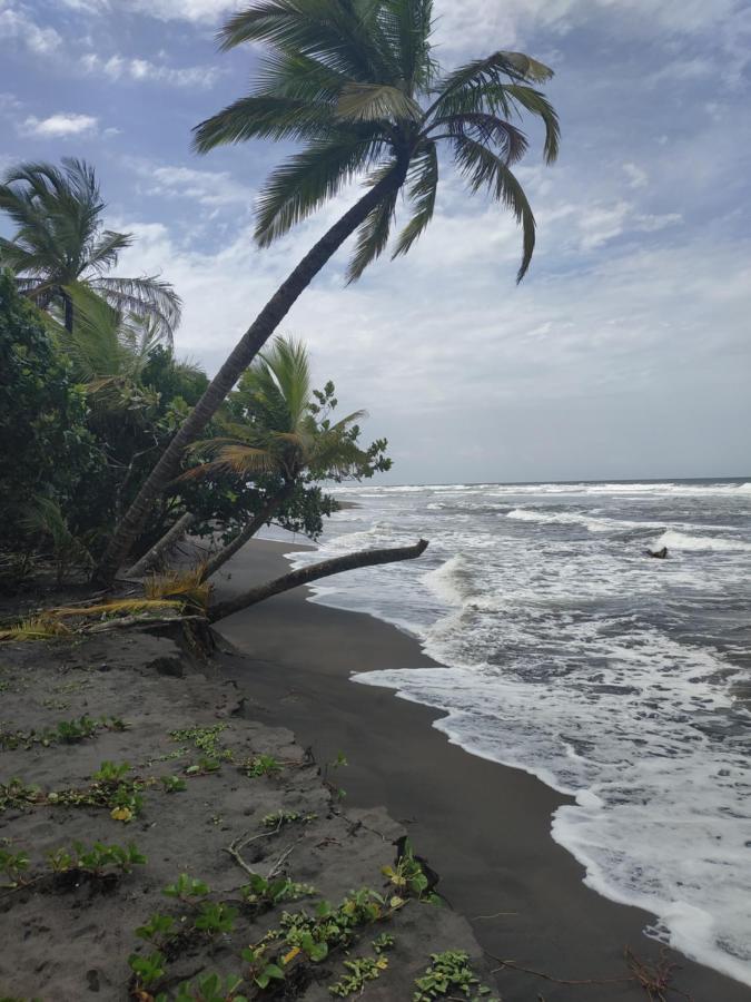 Budda Home Tortuguero Kültér fotó