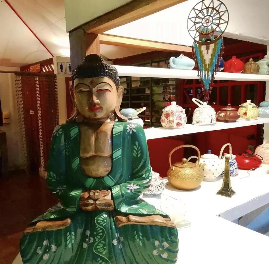 Budda Home Tortuguero Kültér fotó